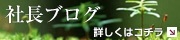 社長ブログ