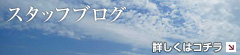 スタッフブログ
